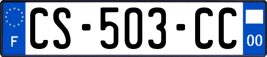 CS-503-CC