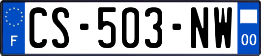 CS-503-NW