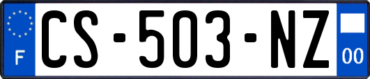 CS-503-NZ