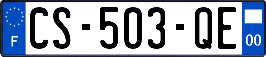 CS-503-QE