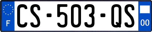 CS-503-QS