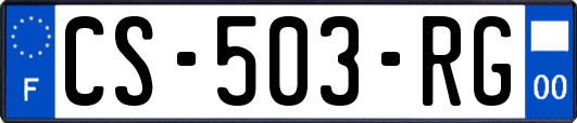 CS-503-RG