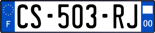 CS-503-RJ