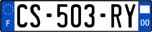 CS-503-RY