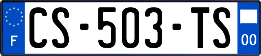 CS-503-TS