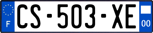 CS-503-XE