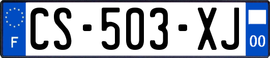 CS-503-XJ