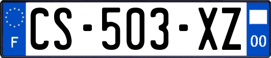 CS-503-XZ