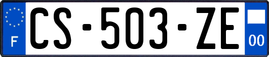 CS-503-ZE