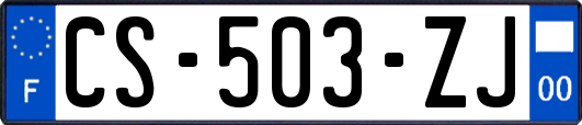 CS-503-ZJ