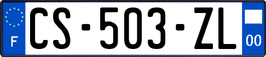 CS-503-ZL