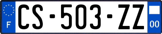 CS-503-ZZ