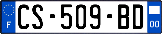 CS-509-BD