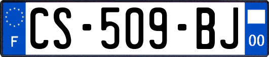 CS-509-BJ