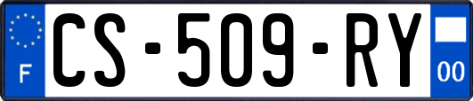 CS-509-RY