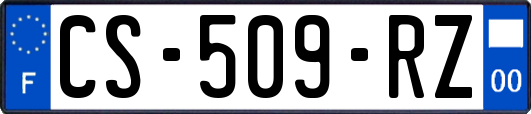 CS-509-RZ