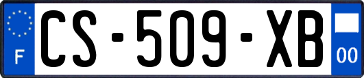 CS-509-XB