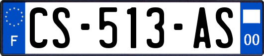 CS-513-AS
