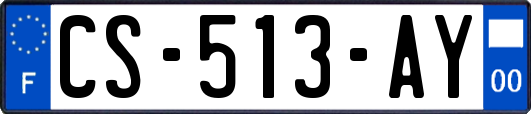 CS-513-AY
