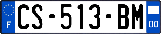 CS-513-BM