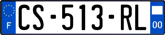 CS-513-RL