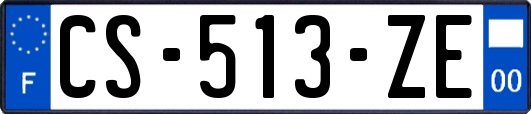 CS-513-ZE