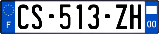 CS-513-ZH