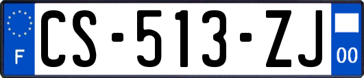 CS-513-ZJ