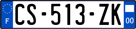 CS-513-ZK