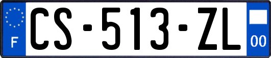 CS-513-ZL