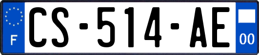 CS-514-AE