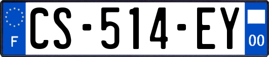 CS-514-EY