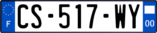 CS-517-WY