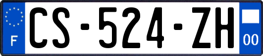 CS-524-ZH