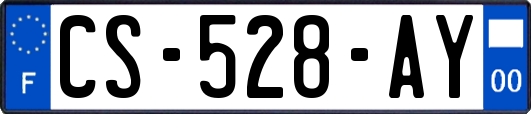 CS-528-AY
