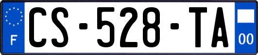 CS-528-TA