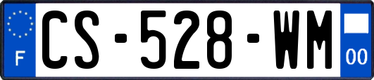 CS-528-WM