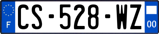 CS-528-WZ