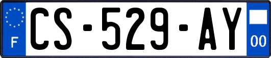 CS-529-AY
