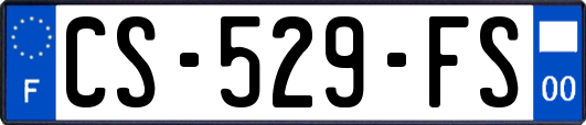 CS-529-FS