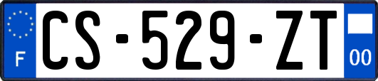 CS-529-ZT