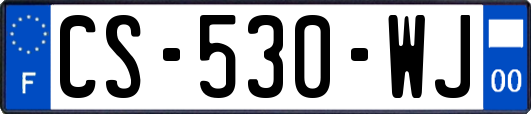 CS-530-WJ