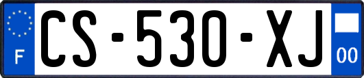 CS-530-XJ