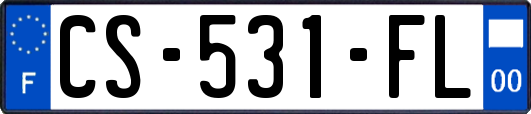 CS-531-FL
