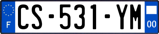 CS-531-YM