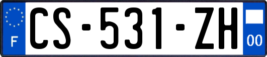 CS-531-ZH