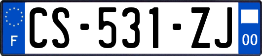 CS-531-ZJ