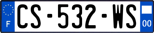 CS-532-WS