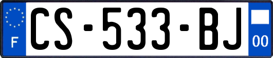 CS-533-BJ