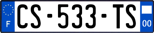 CS-533-TS